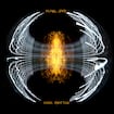 Wreckage par Pearl Jam