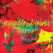 We Come Running par Youngblood Hawke