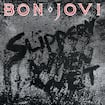 You Give Love A Bad Name par Bon Jovi