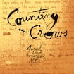 Mr. Jones par Counting Crows