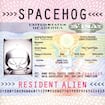 In the Meantime par Spacehog