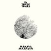 The Fours par Makaya McCraven