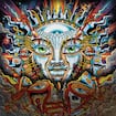 Ensenada par Sublime